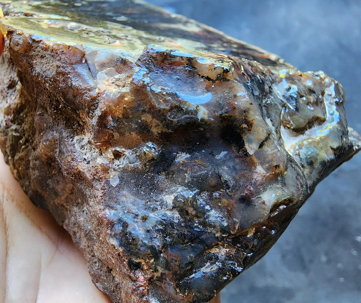 Dendritic Blue Agate
