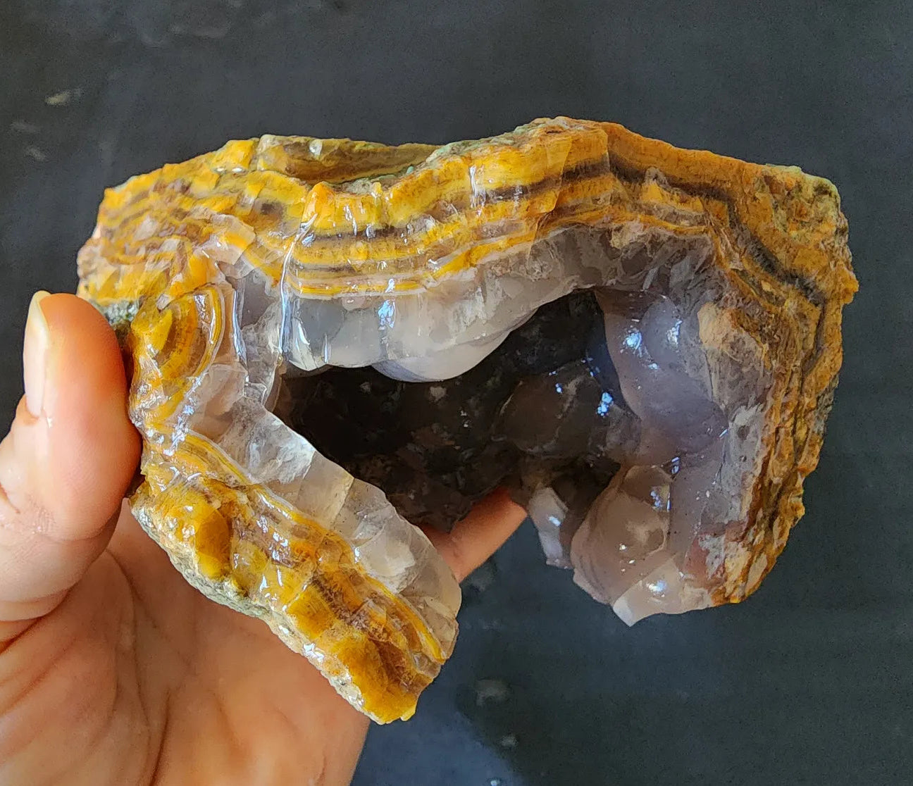 Agatized Petrified Wood