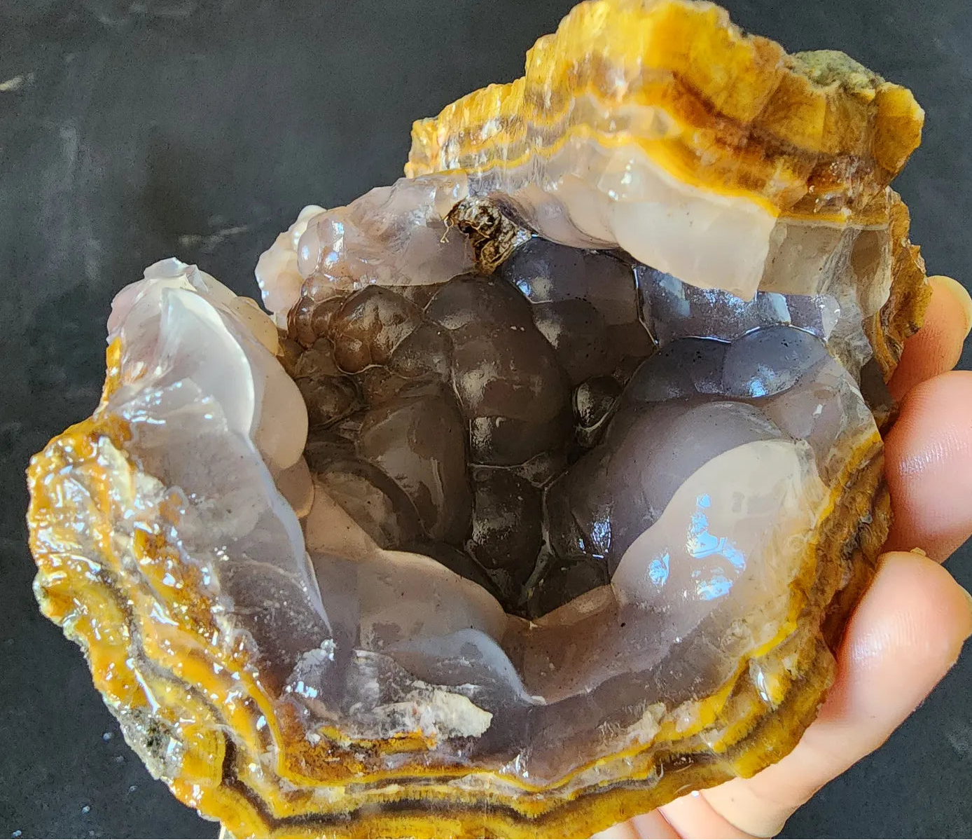 Agatized Petrified Wood