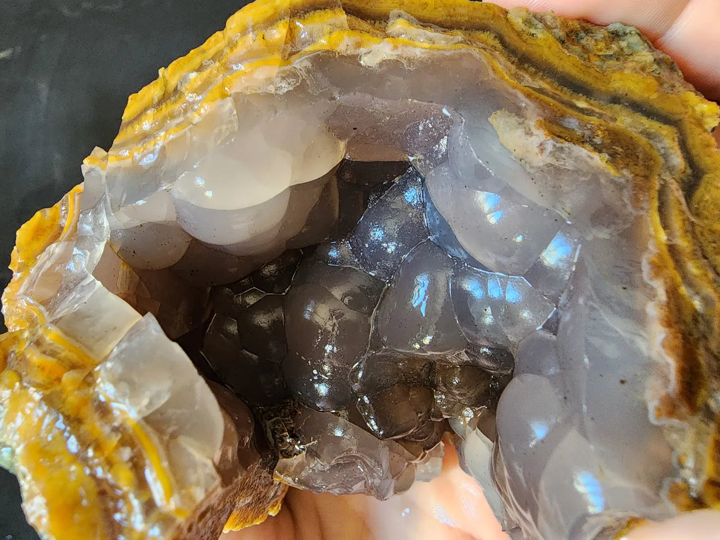 Agatized Petrified Wood