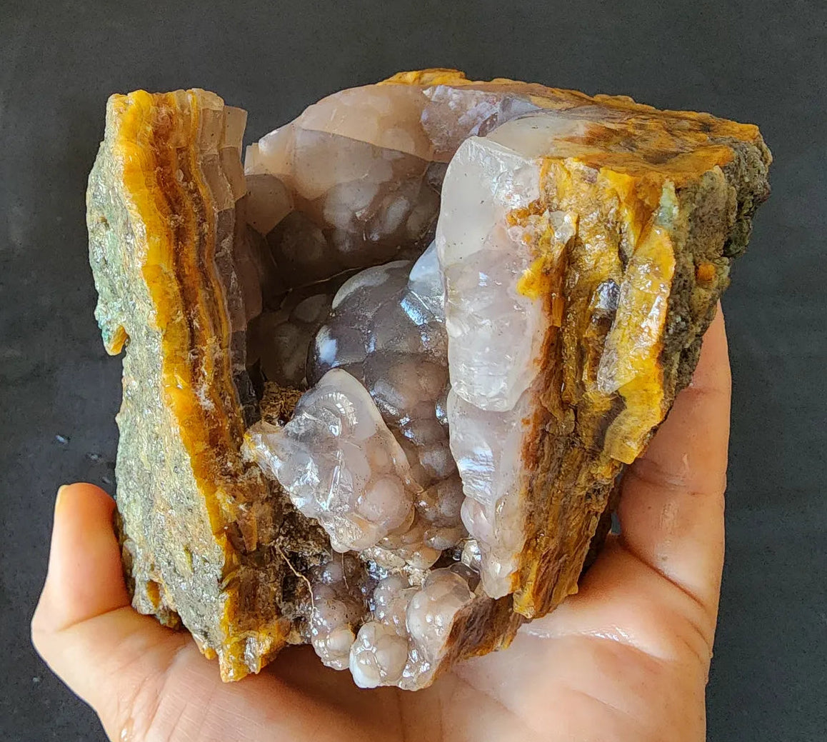 Agatized Petrified Wood