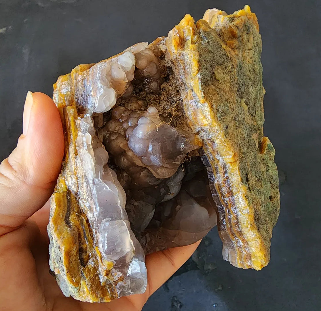 Agatized Petrified Wood