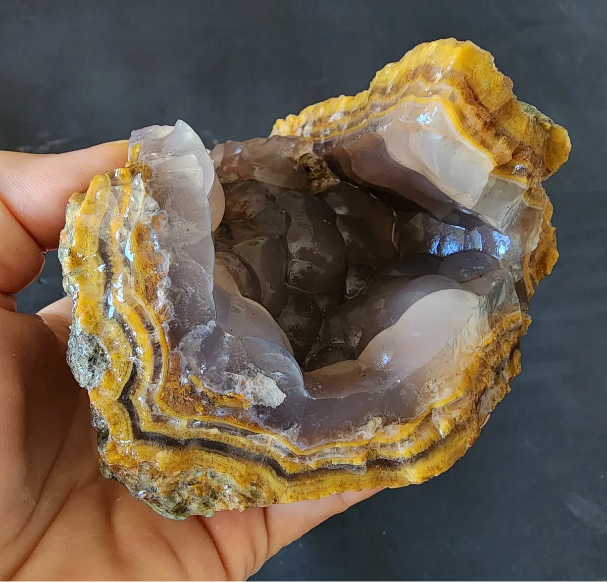 Agatized Petrified Wood