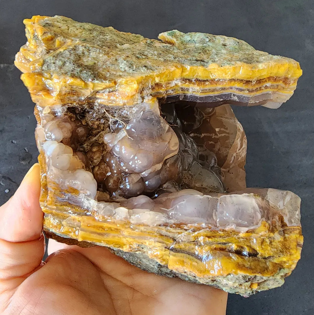 Agatized Petrified Wood