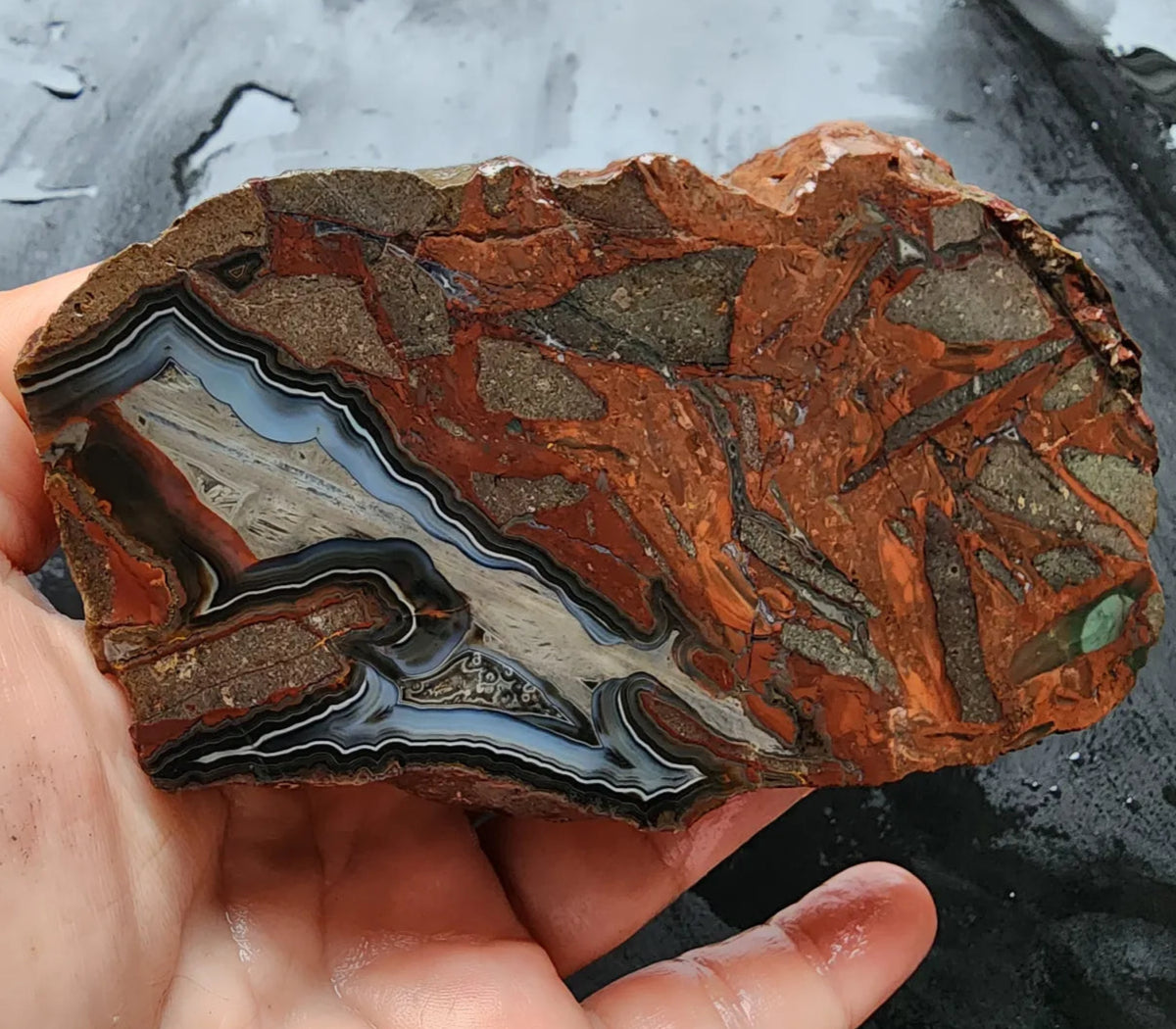 Brecciated Blue Agate Pair
