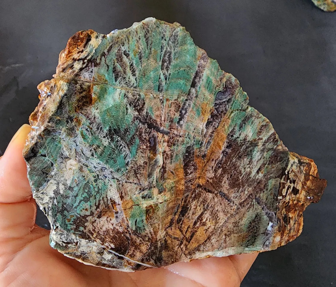 Colla Wood Slab