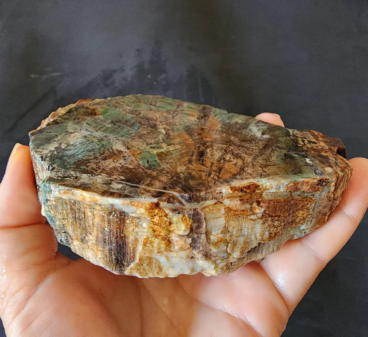 Colla Wood Slab