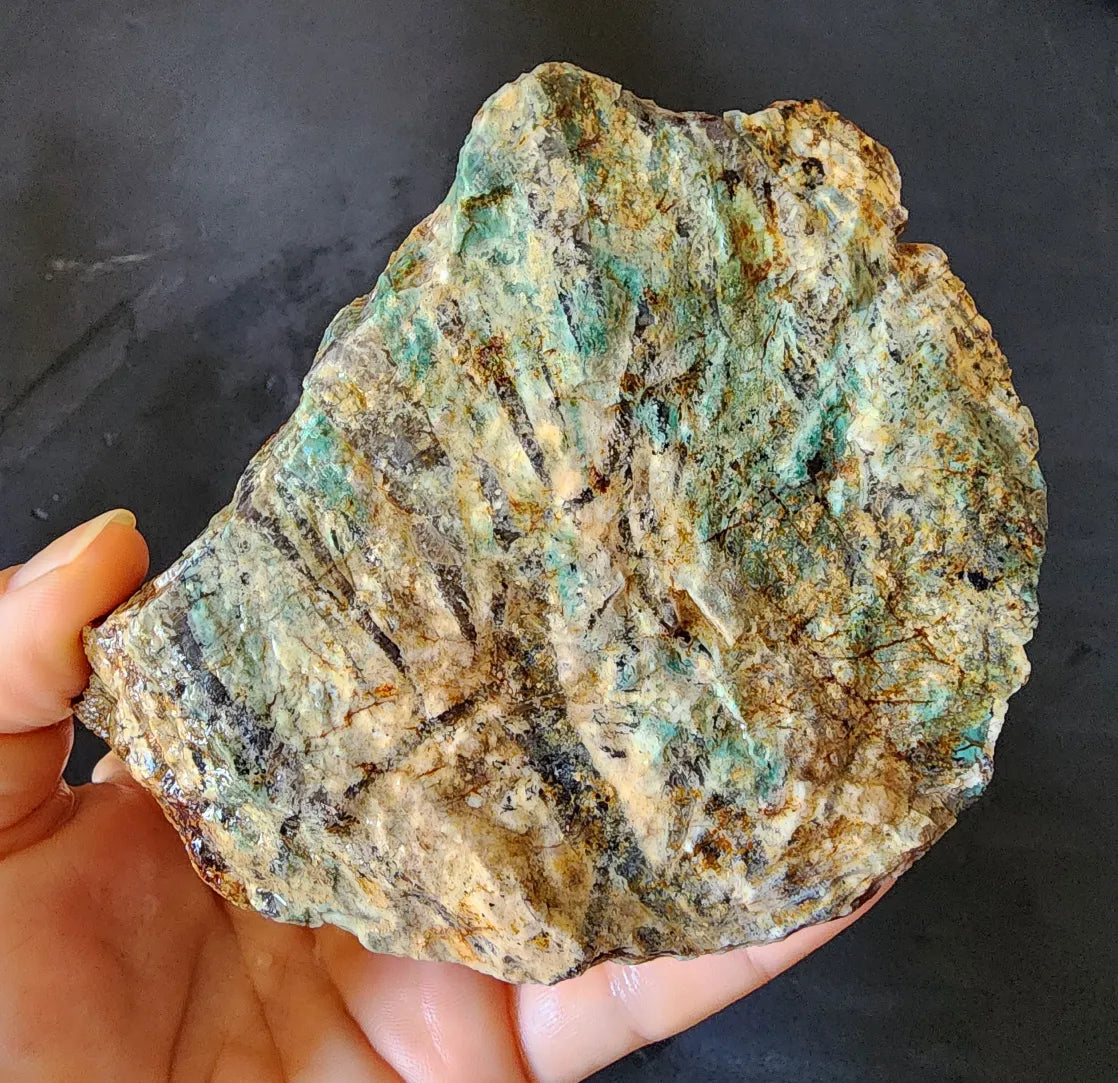 Colla Wood Slab