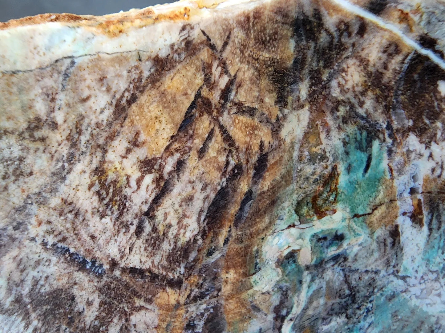 Colla Wood Slab