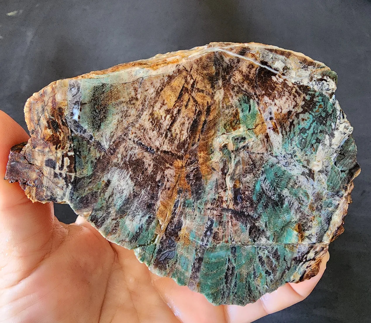 Colla Wood Slab