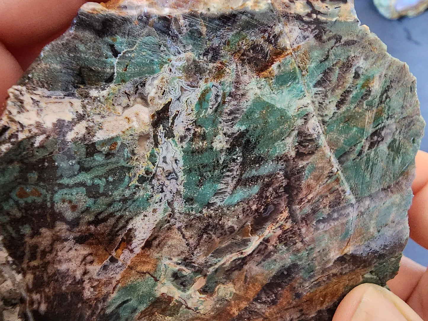 Colla Wood Slab