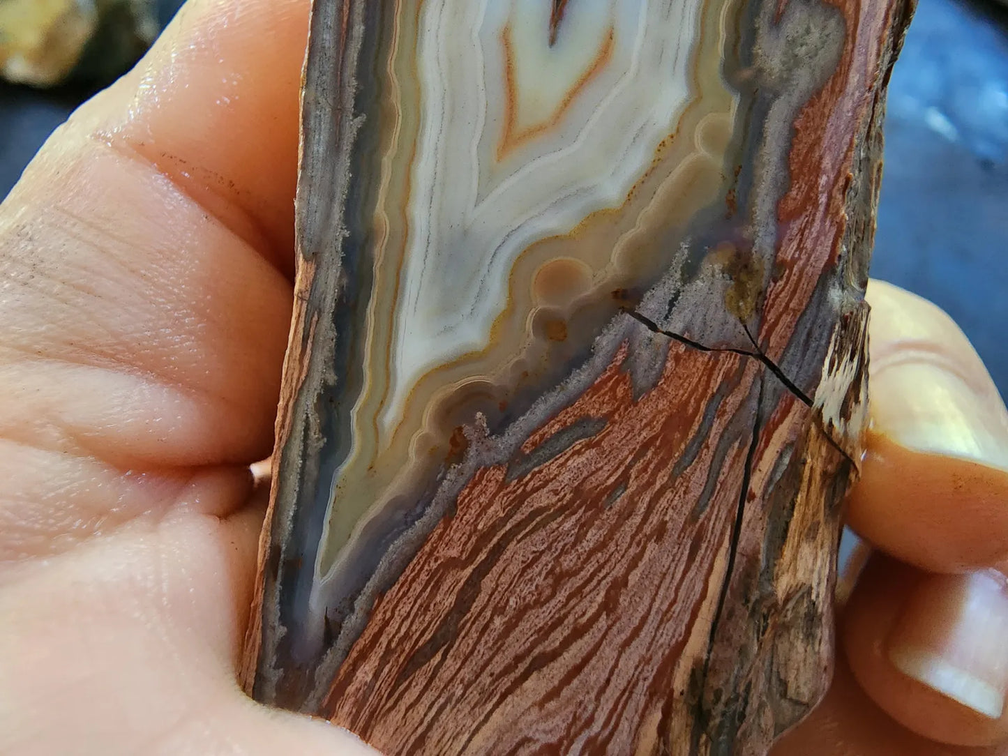 Banded Rhyolite Agate