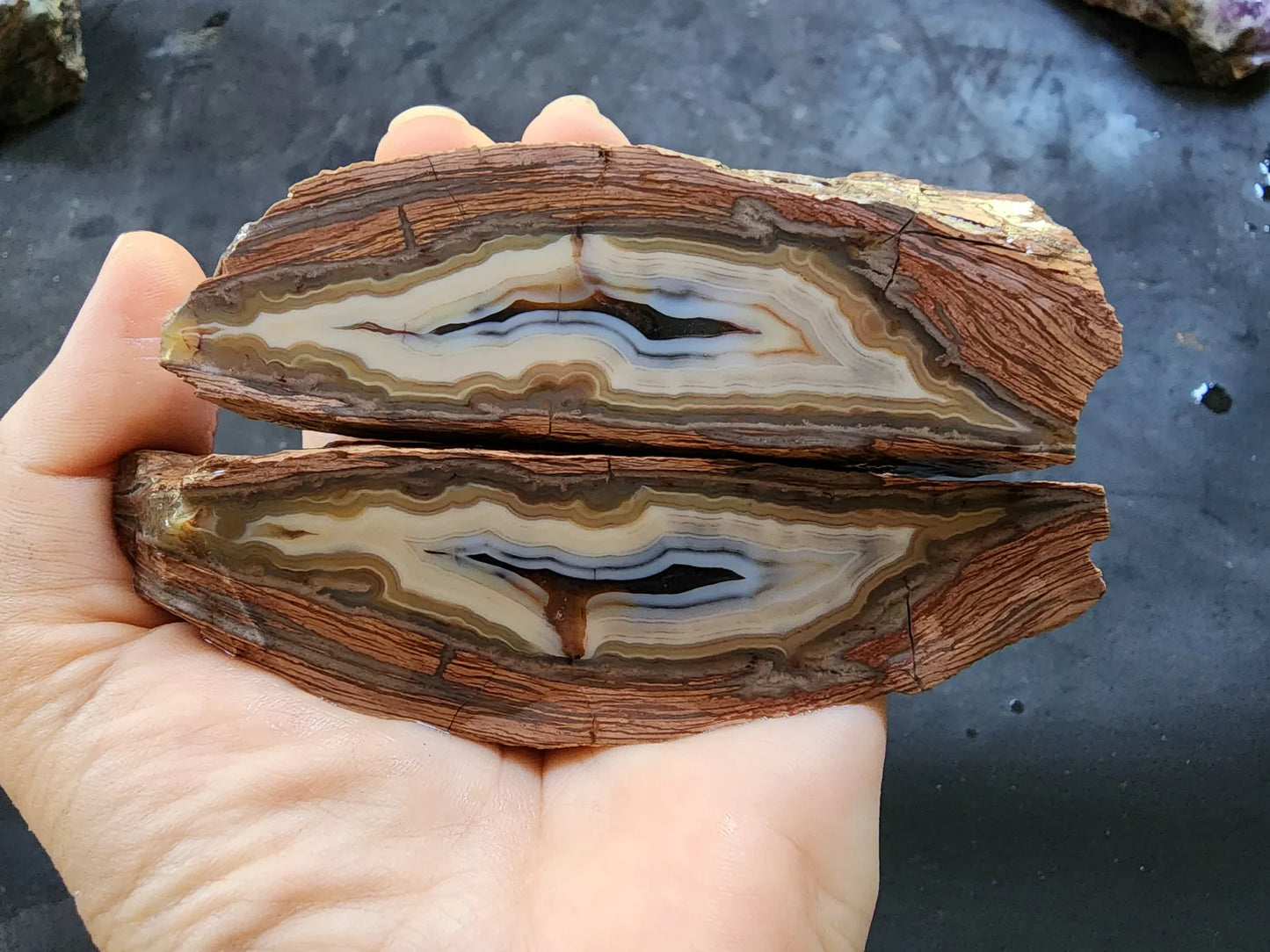 Banded Rhyolite Agate