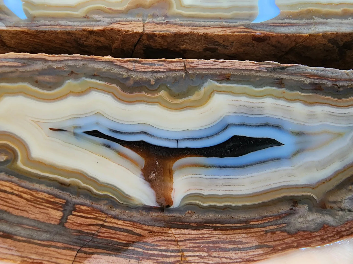 Banded Rhyolite Agate