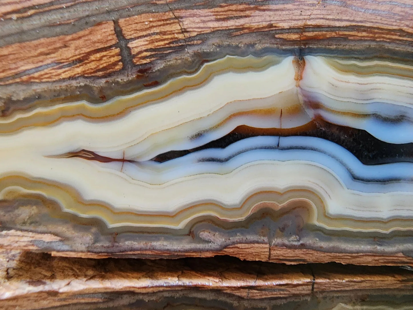 Banded Rhyolite Agate