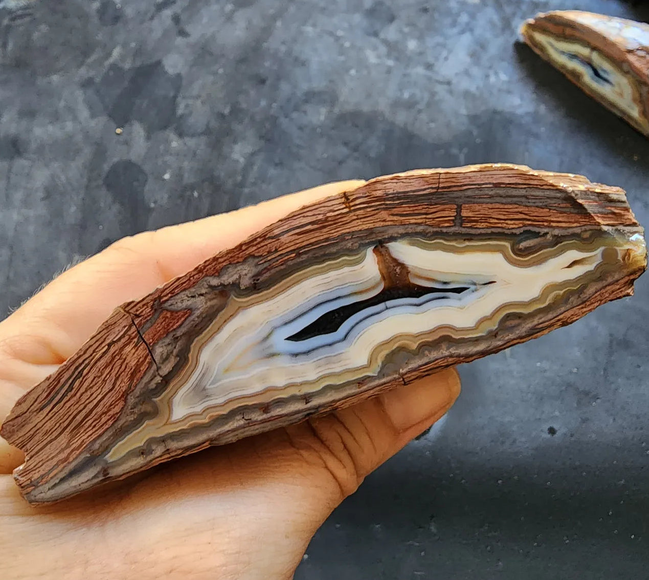 Banded Rhyolite Agate
