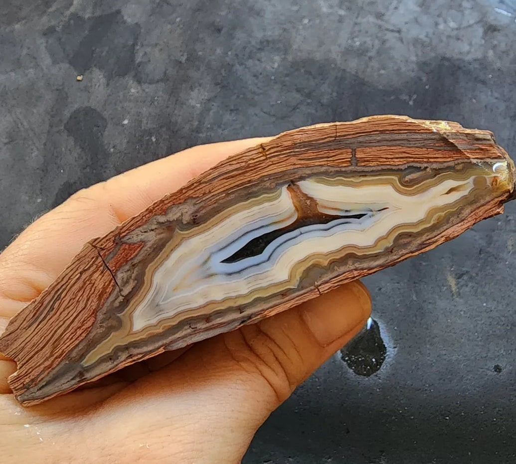 Banded Rhyolite Agate