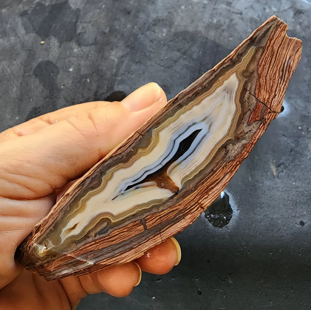 Banded Rhyolite Agate