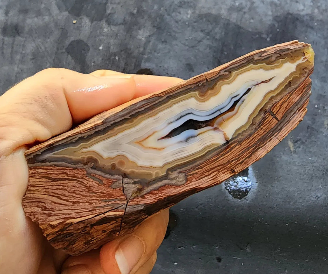 Banded Rhyolite Agate