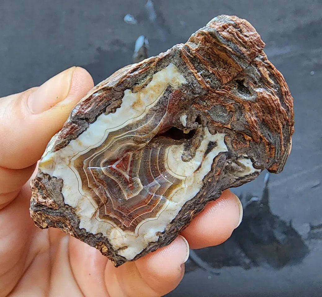 Triple-Floater Agate