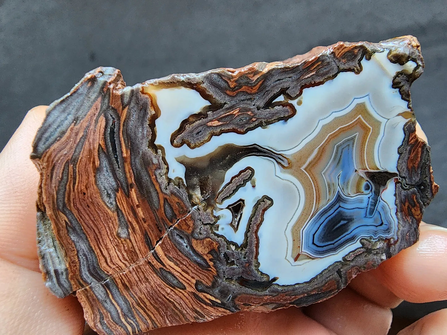 Triple-Floater Agate