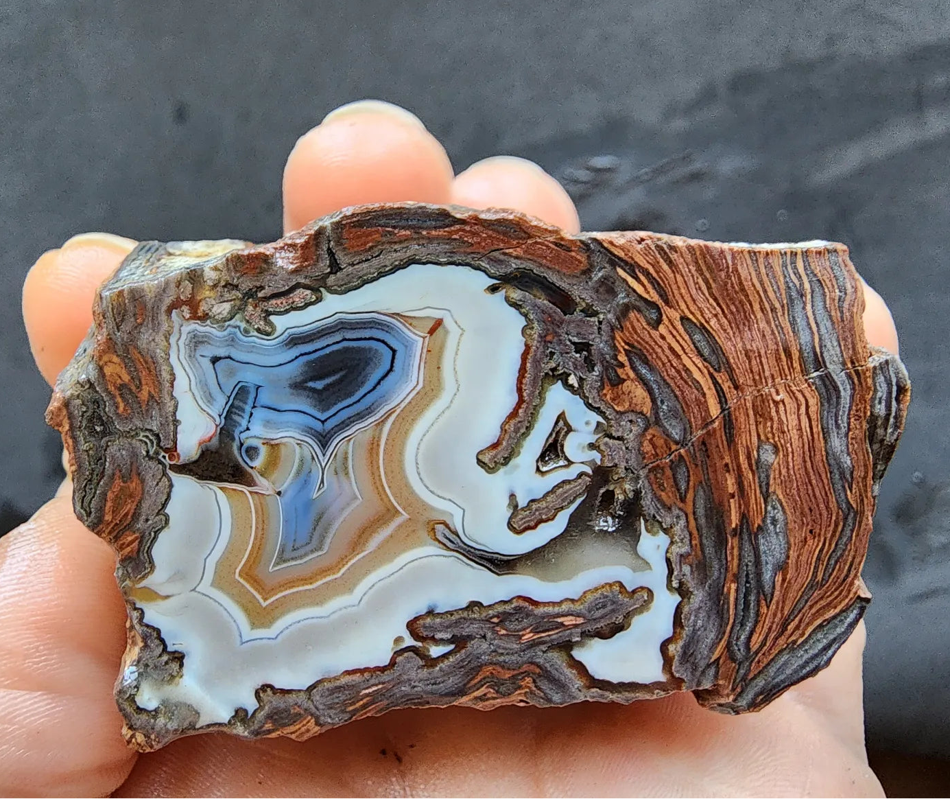 Triple-Floater Agate