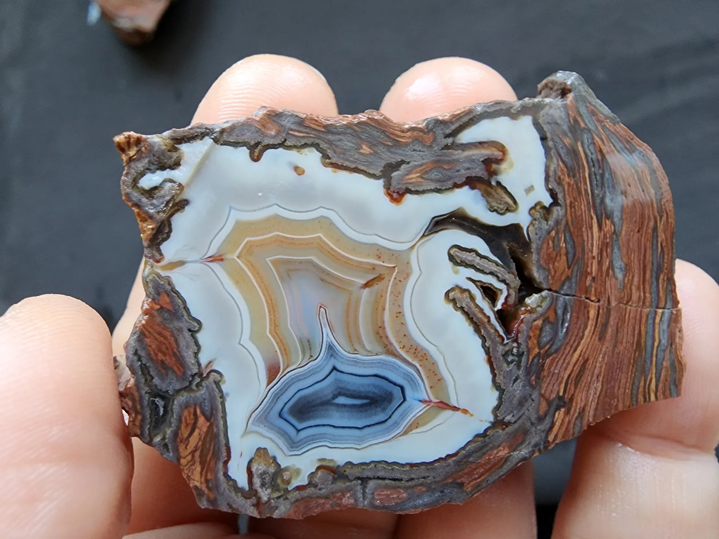 Triple-Floater Agate