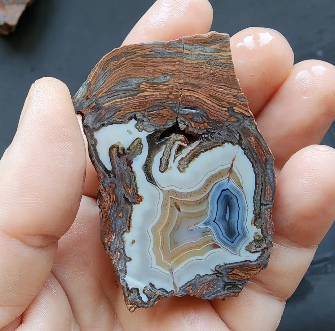 Triple-Floater Agate