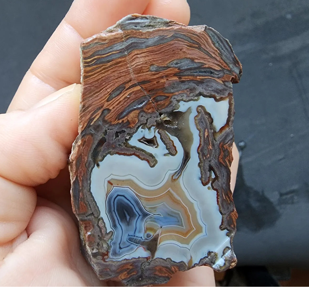 Triple-Floater Agate