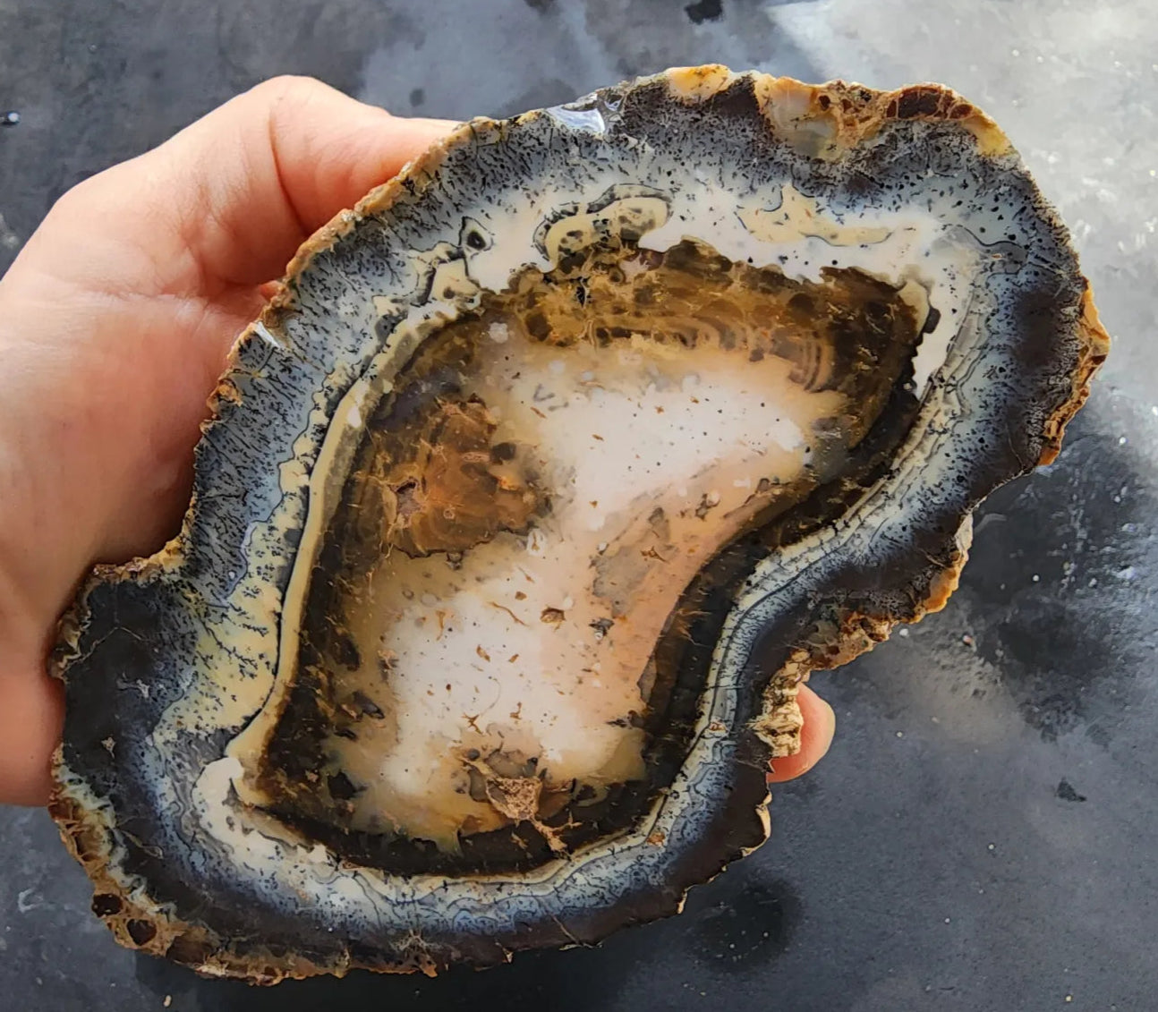Dendritic Opal Slab