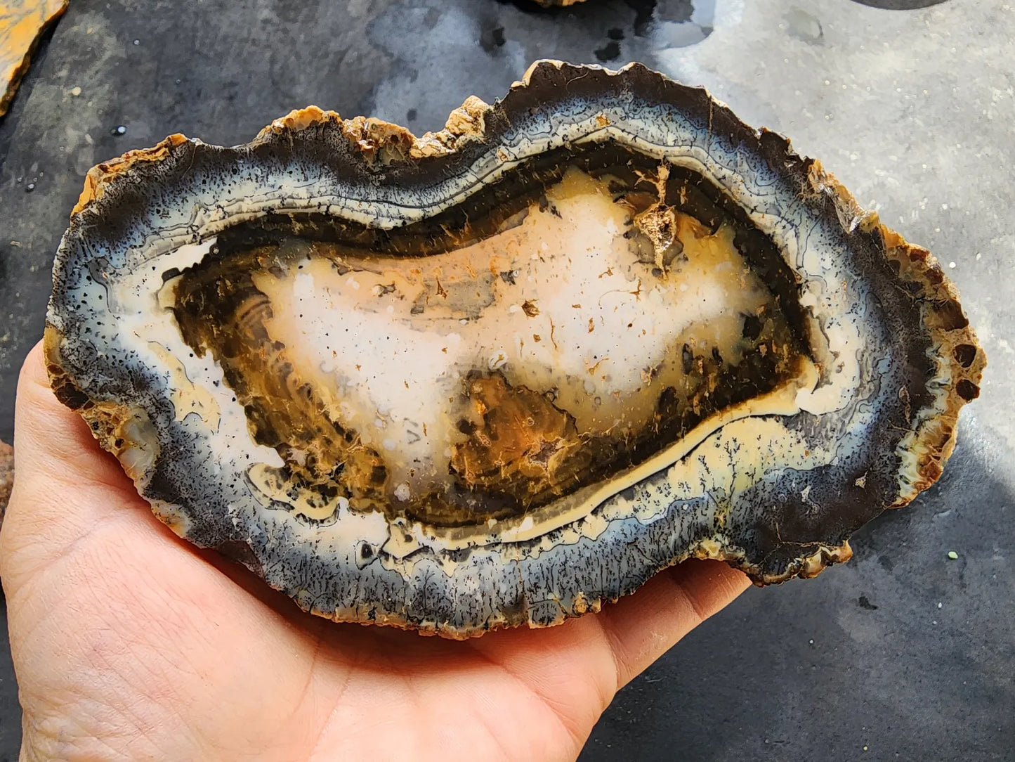 Dendritic Opal Slab