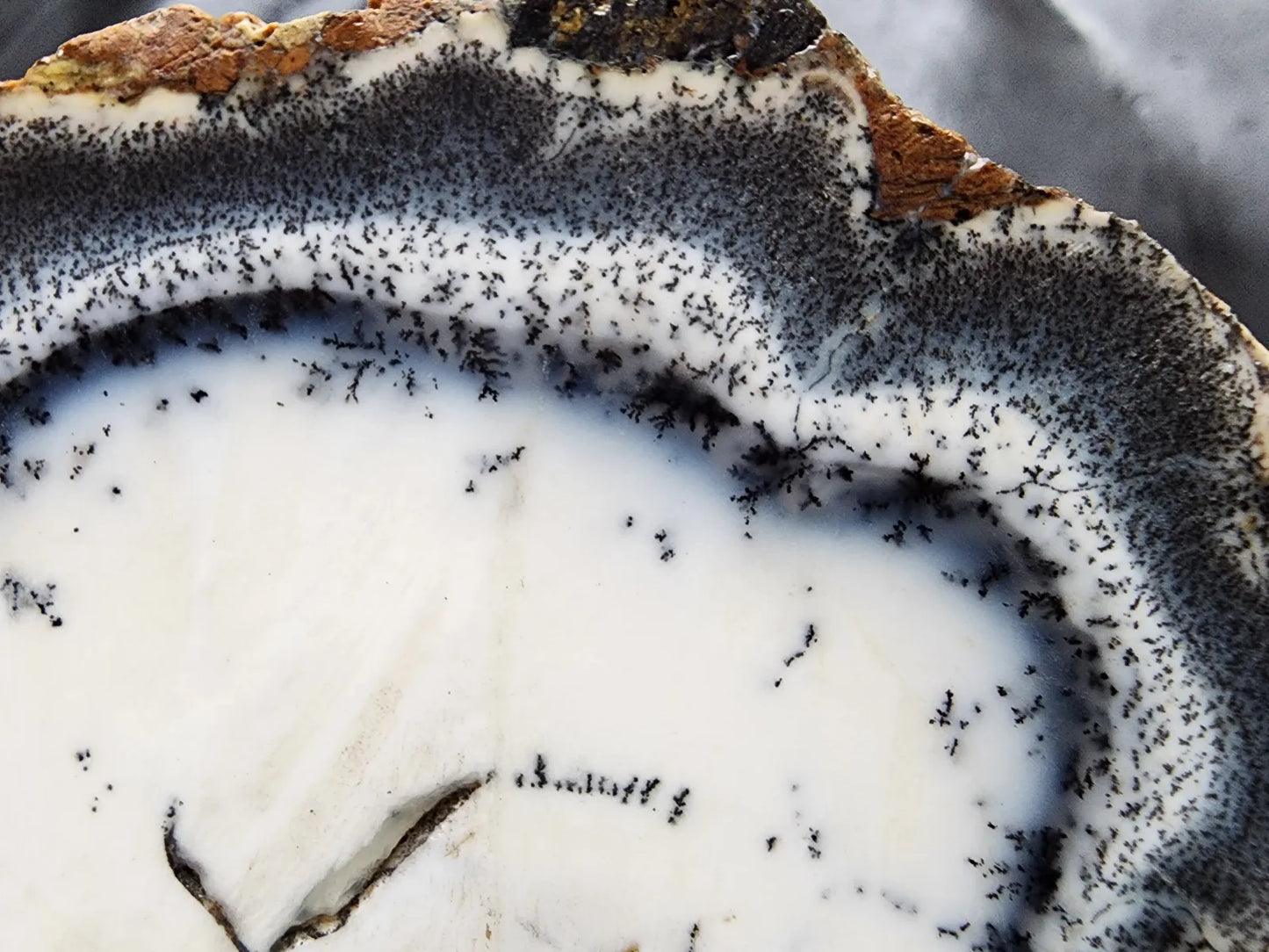 Dendritic Opal