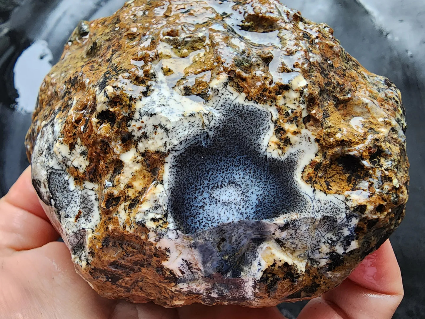 Dendritic Opal