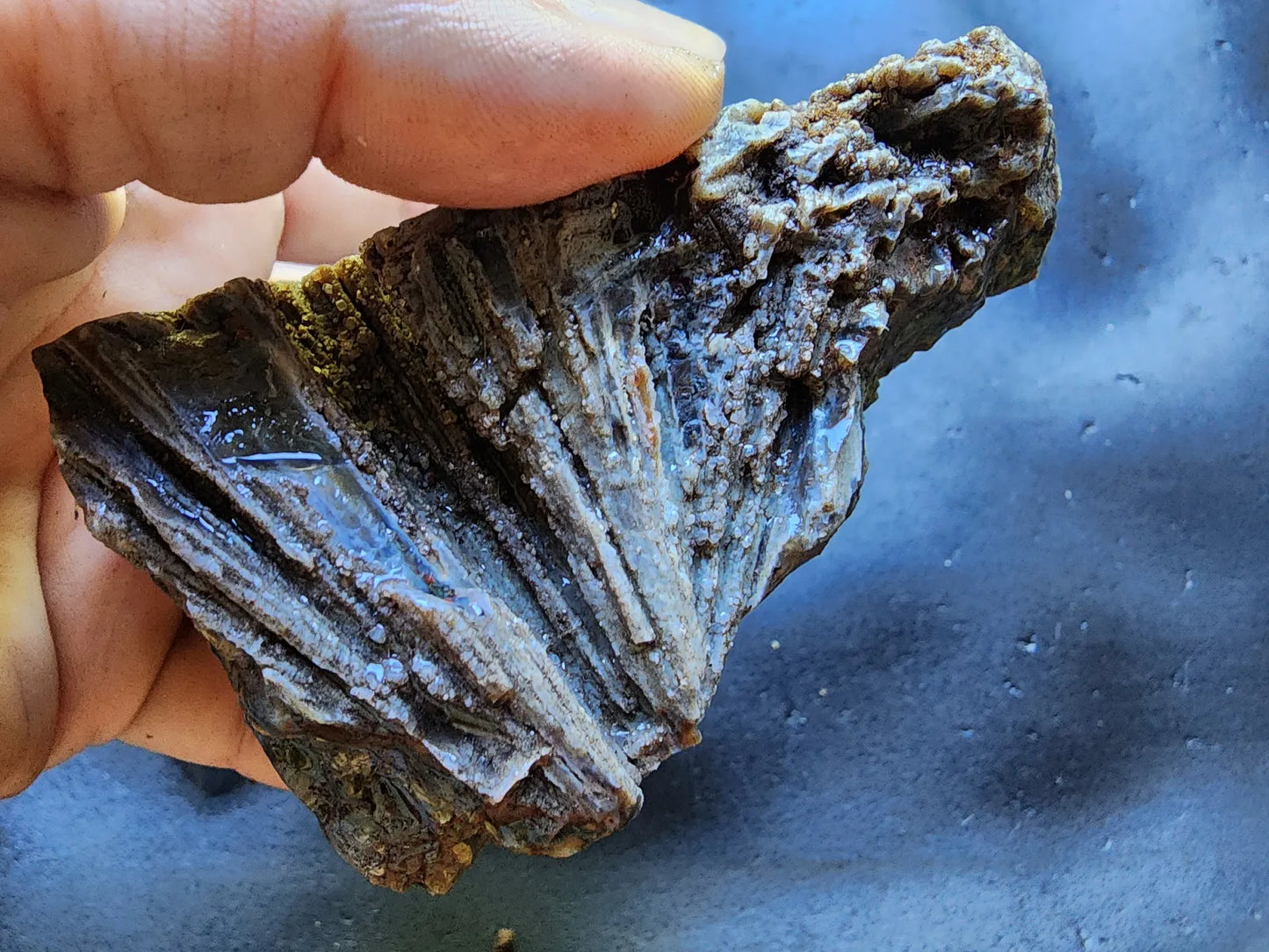 Green Agate Pair