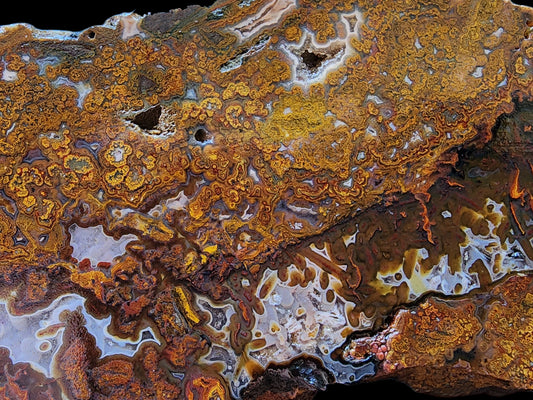 Plume Agate Pair