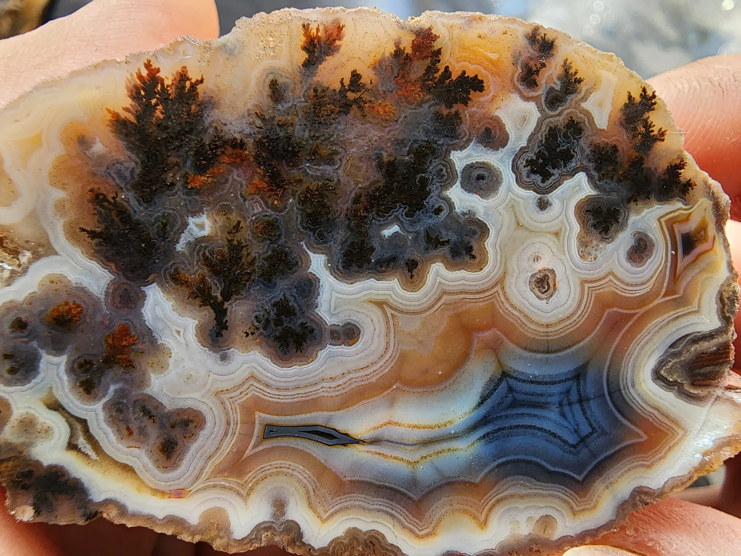 Rare Agate Pair