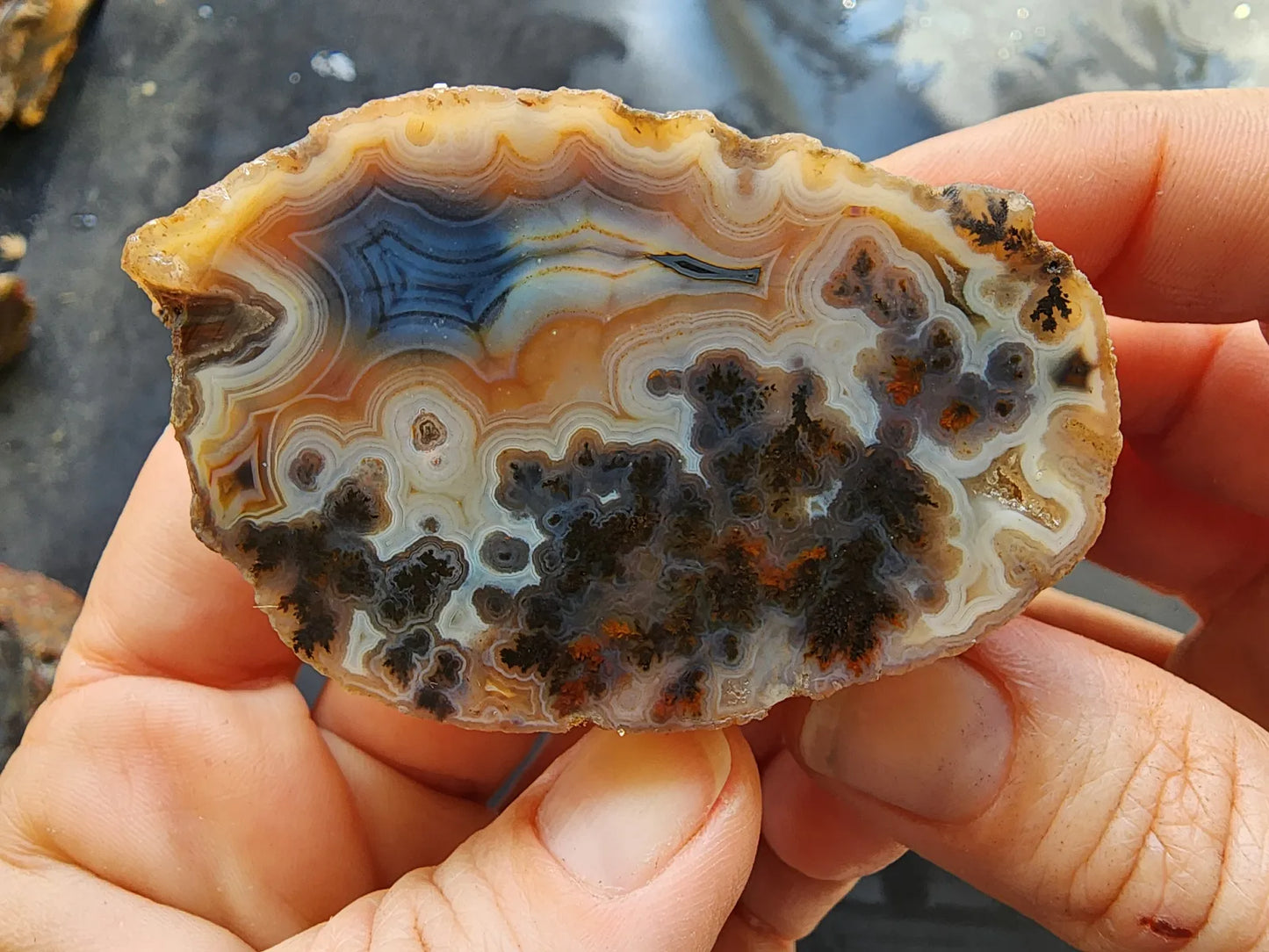Rare Agate Pair