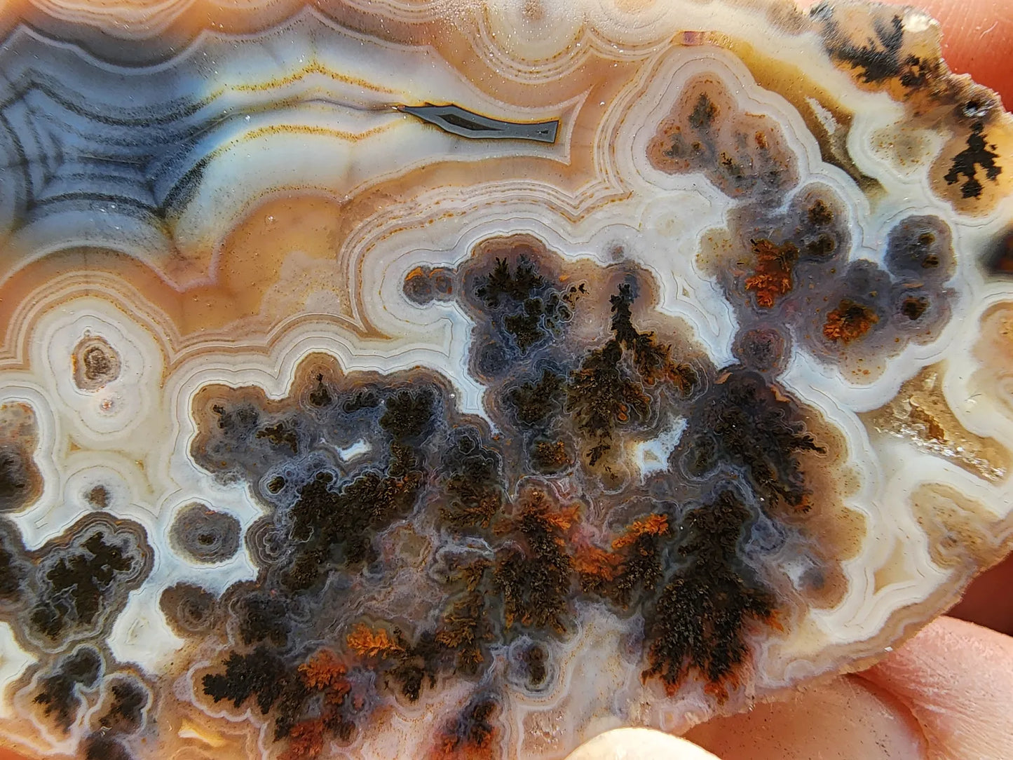 Rare Agate Pair