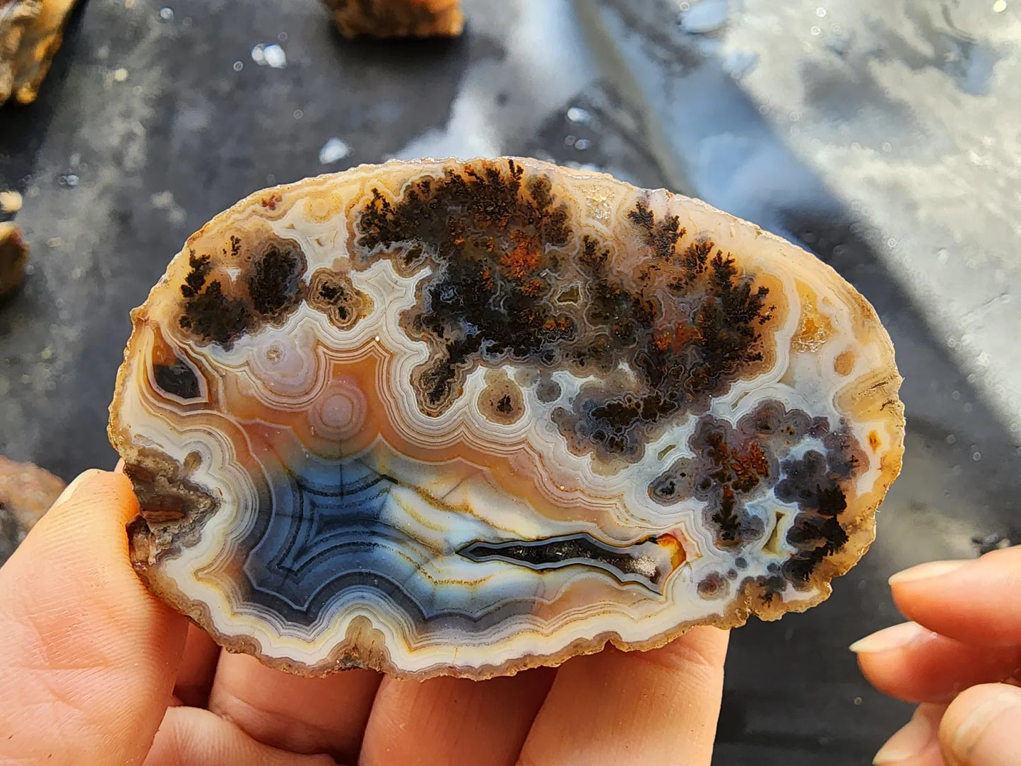 Rare Agate Pair