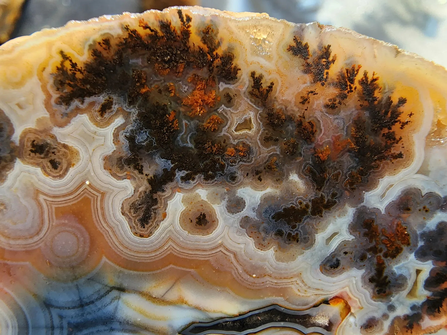 Rare Agate Pair