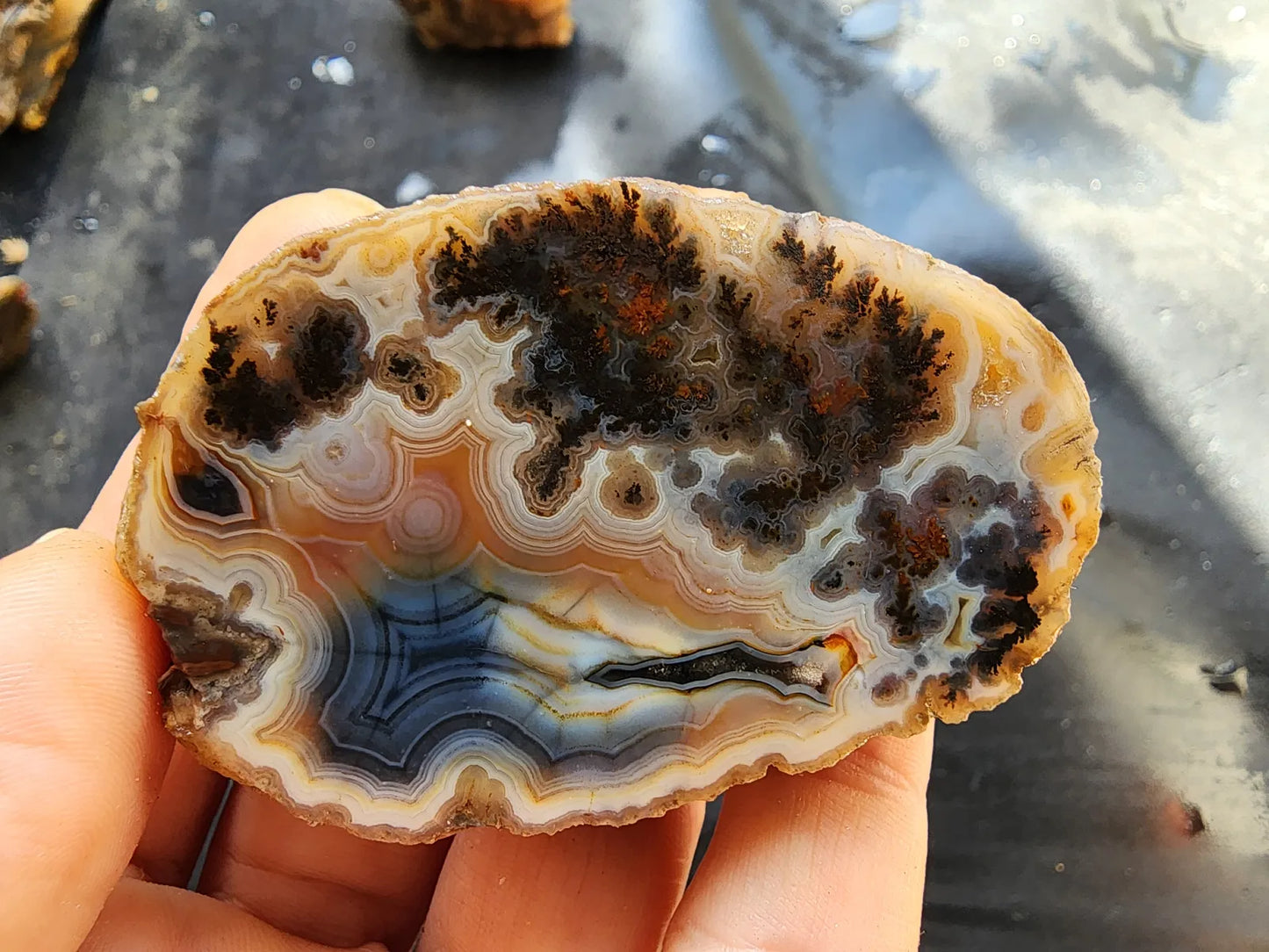 Rare Agate Pair