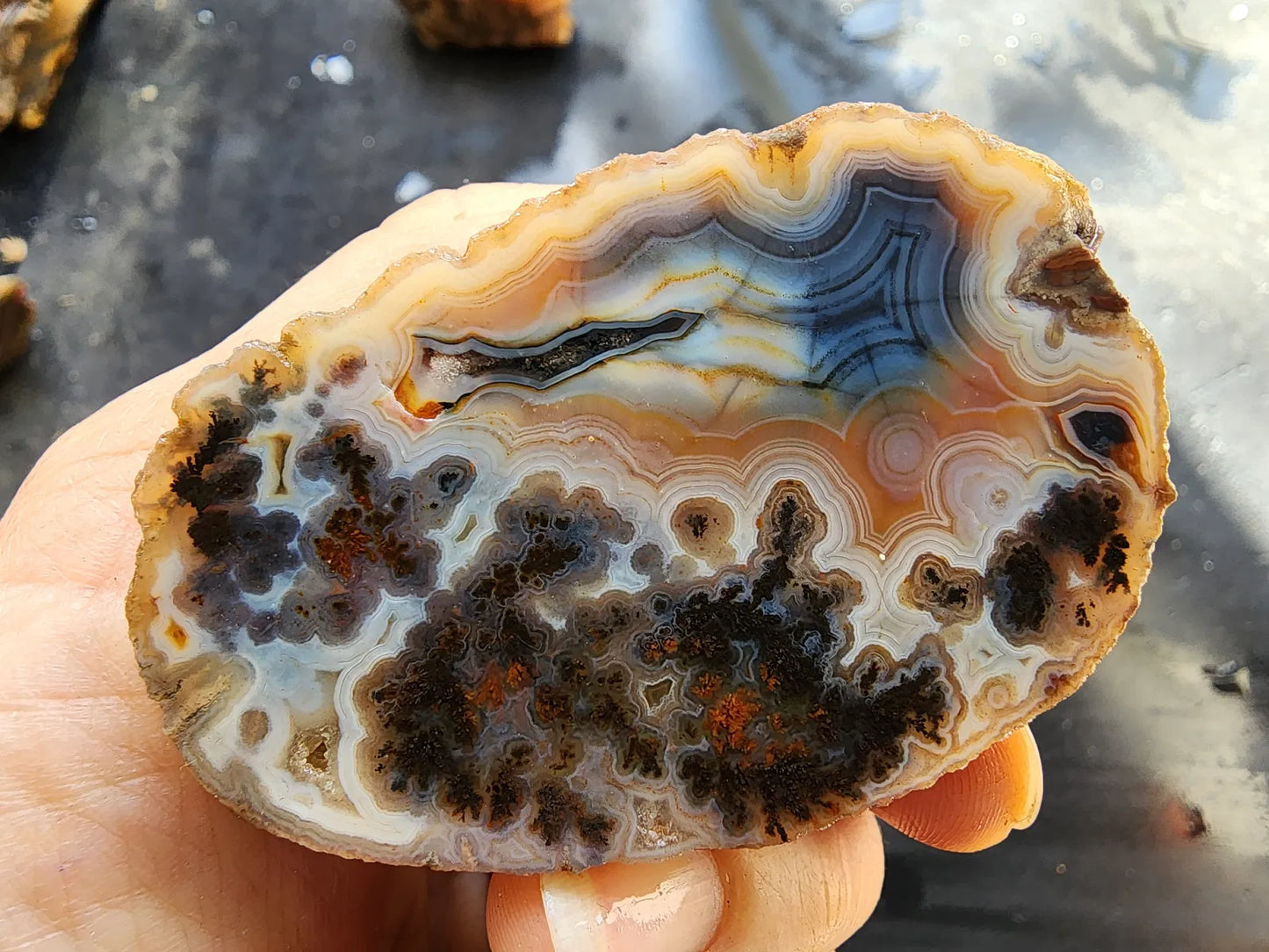 Rare Agate Pair