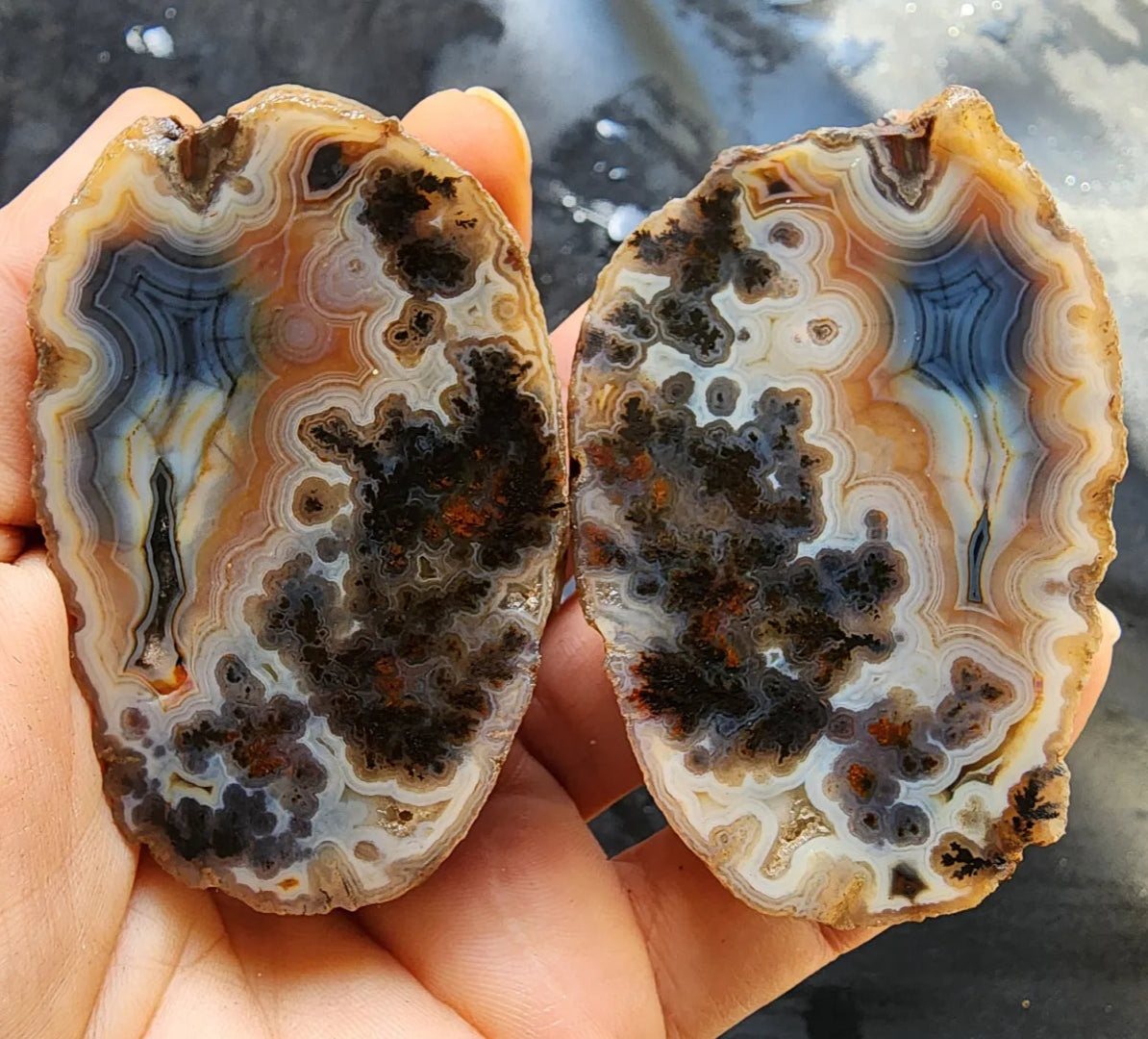 Rare Agate Pair