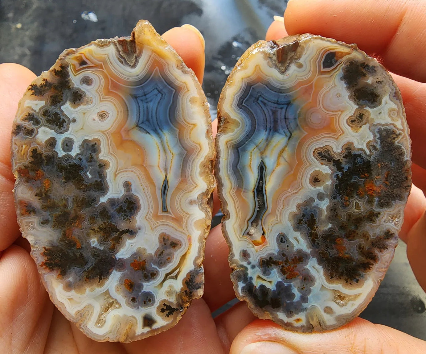 Rare Agate Pair