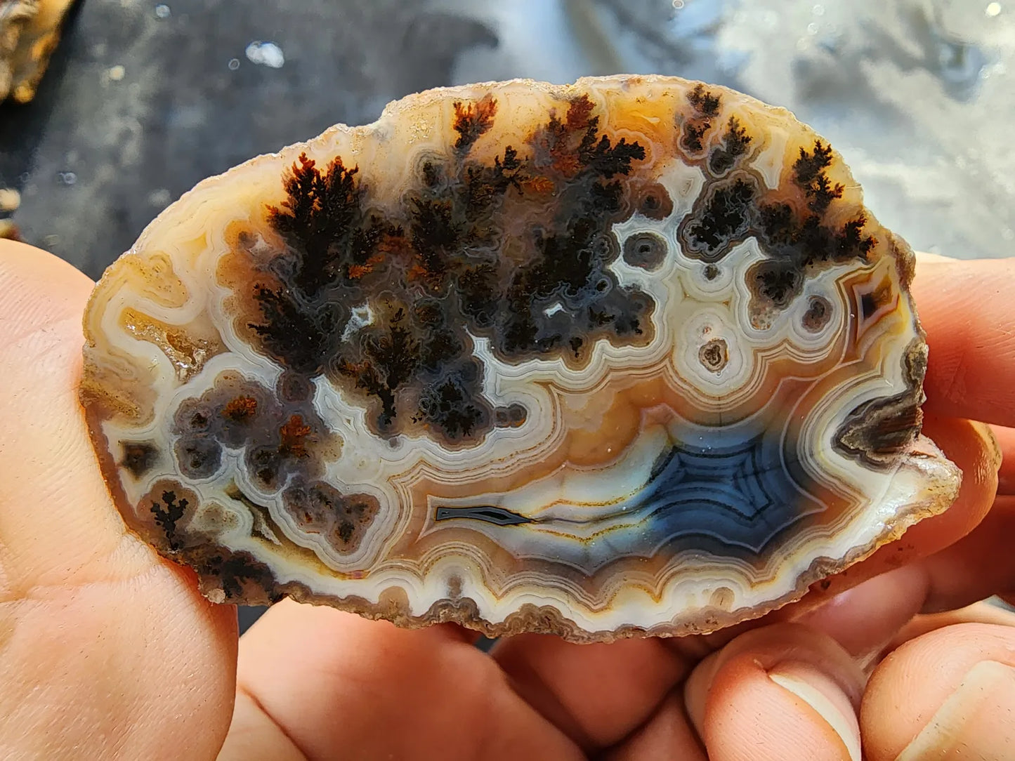 Rare Agate Pair