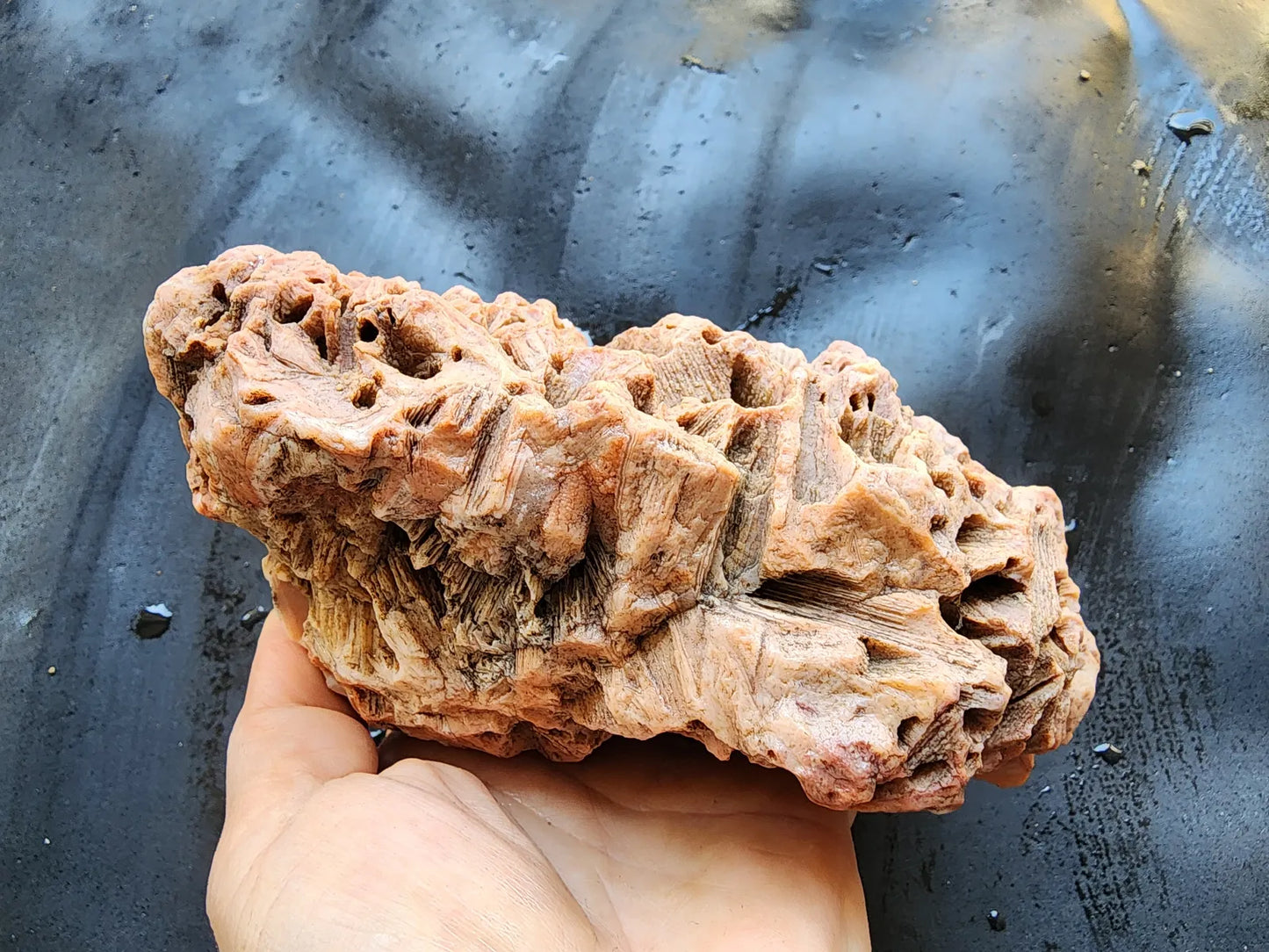 Large Decorative Rock