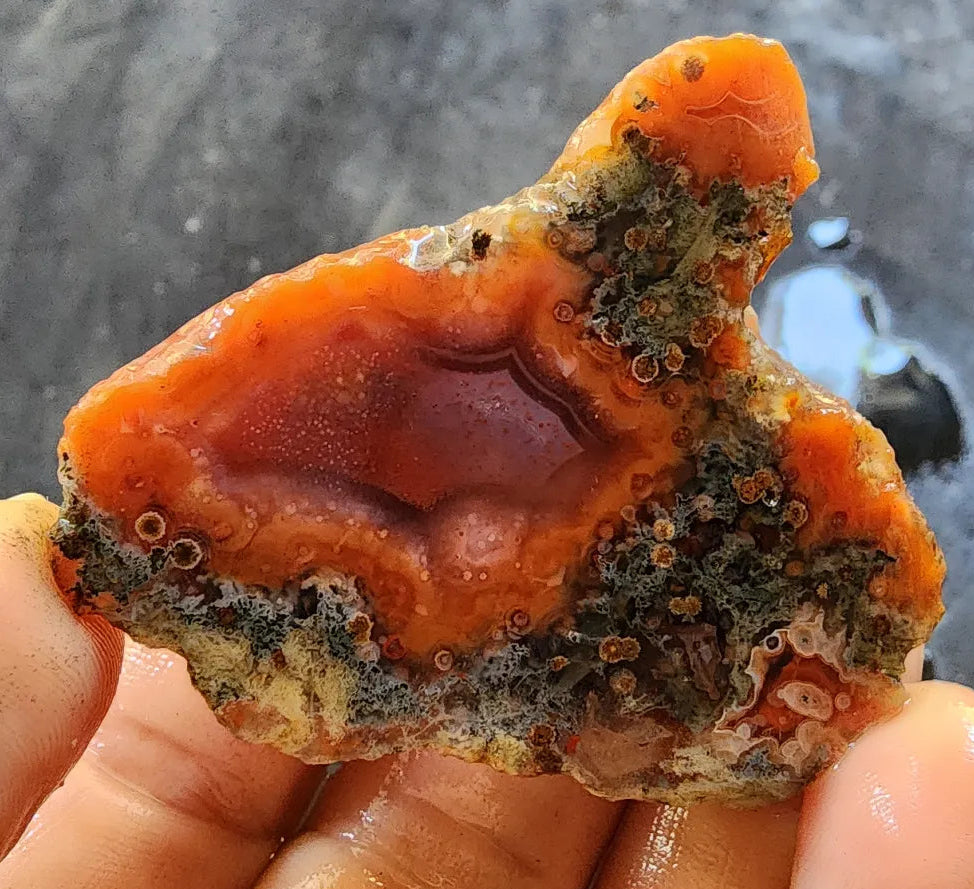 Mossy Orange Agate