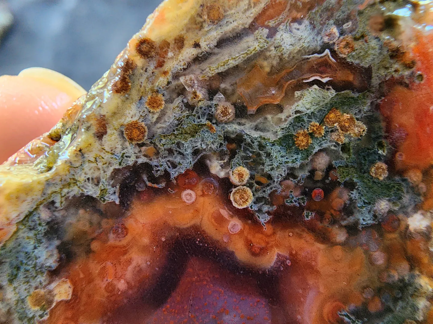 Mossy Orange Agate