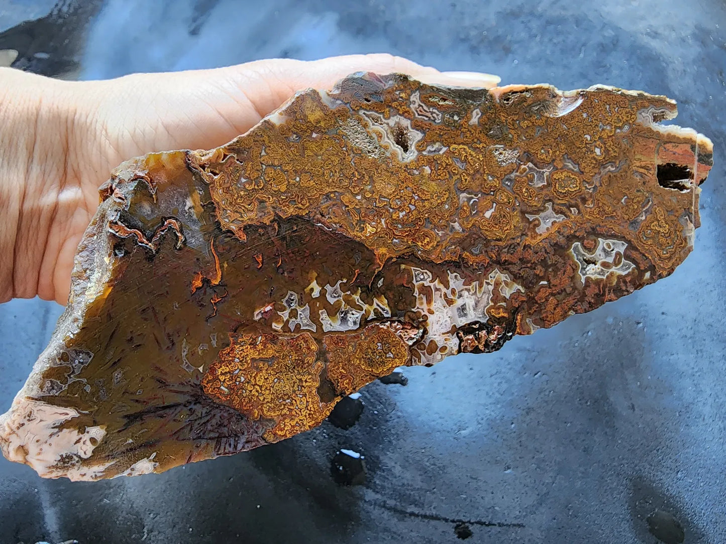 Plume Agate Pair