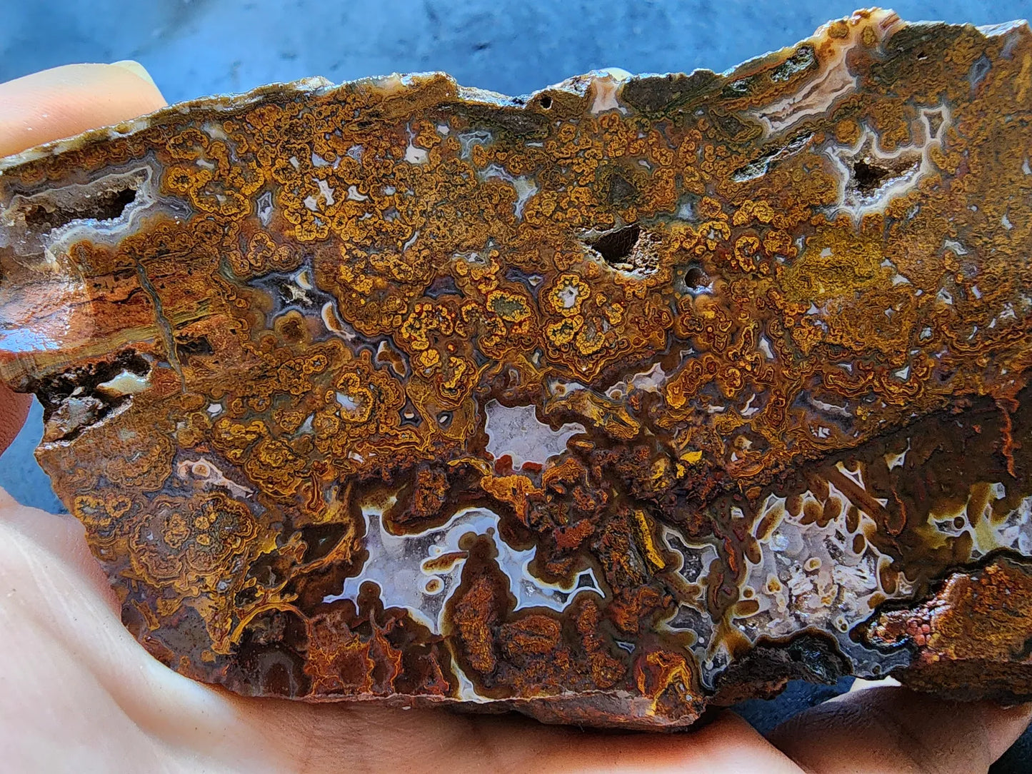 Plume Agate Pair